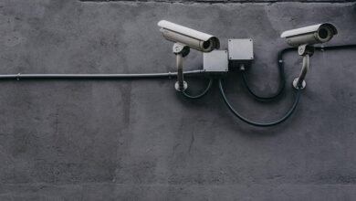 fraud monitoring phone numbers