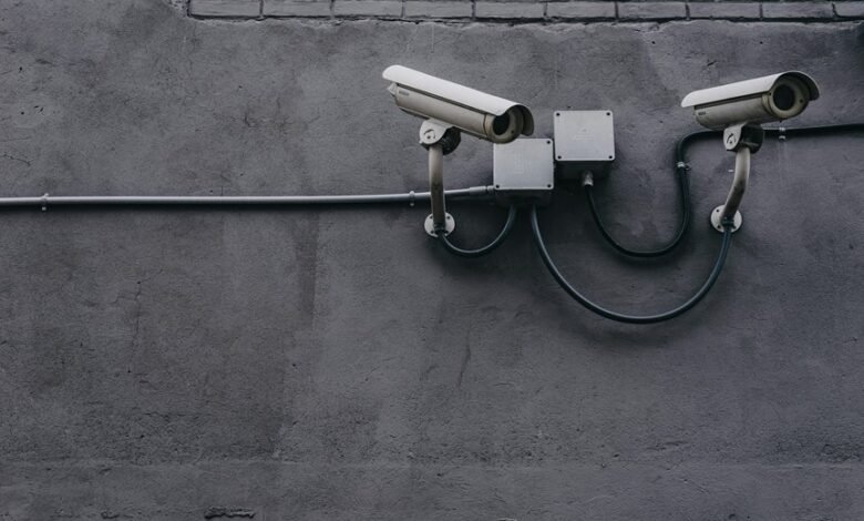 fraud monitoring phone numbers
